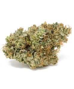 King Louis OG Strain