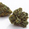 Buy Blue Cheese Weed Strain Online