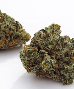 Buy Blue Cheese Weed Strain Online
