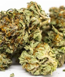 Alternative view of Bubba Kush Strain