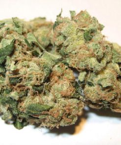 Alternative view of Buy Sour Diesel Weed Online USA | Premium Sativa Cannabis Strain