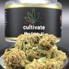 Blue Gelato 41 Weed Strain
