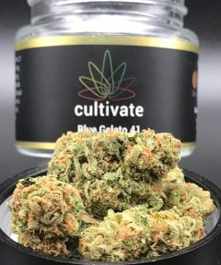 Blue Gelato 41 Weed Strain