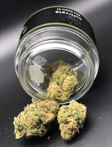 Alternative view of Blue Gelato 41 Weed Strain