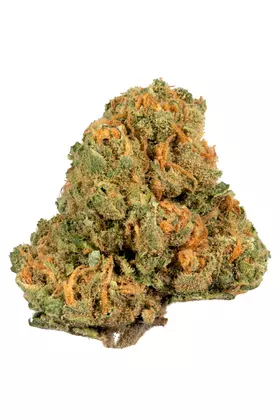 Buy Jack Herer Strain Online USA | Premium Cannabis Flower - Image 3