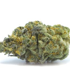 Buy Mandarin Cookies Weed Online USA | Premium Hybrid Cannabis Strain