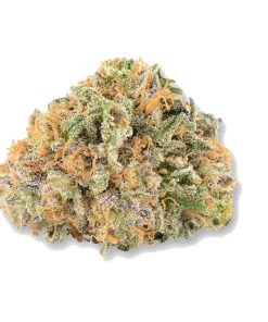 Buy Strawberry Cough Weed Online USA | Premium Sativa Cannabis Strain