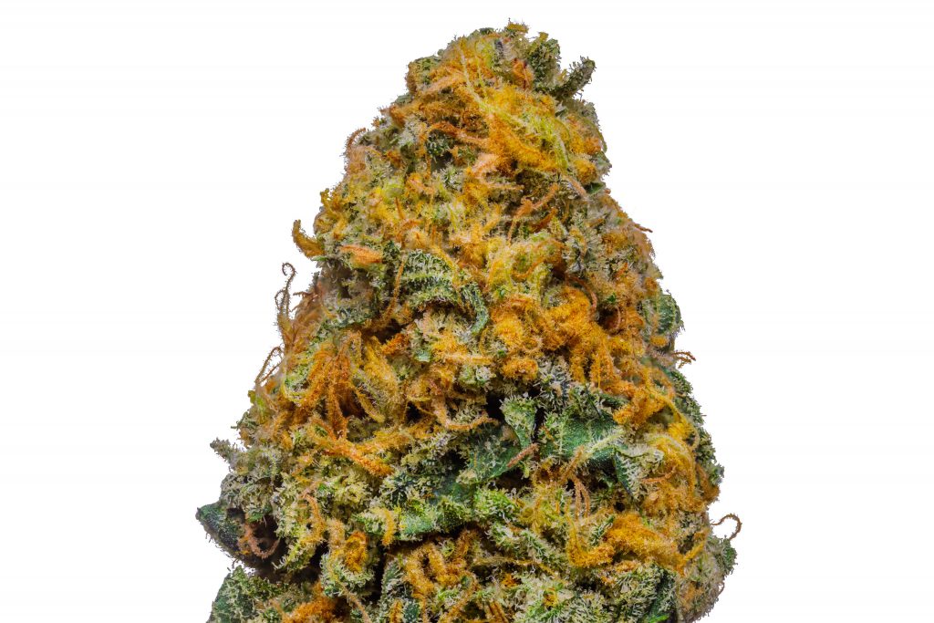 Buy White Cheese Weed Online USA | Premium Indica-Dominant Hybrid Cannabis Strain