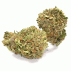 Buy AK-47 Weed Online USA | Premium Sativa-Dominant Hybrid Cannabis Strain