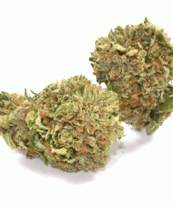 Buy AK-47 Weed Online USA | Premium Sativa-Dominant Hybrid Cannabis Strain