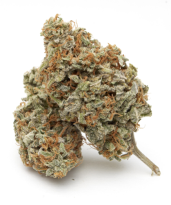 Buy Banana Mango Strain Online USA | Premium Cannabis Flower