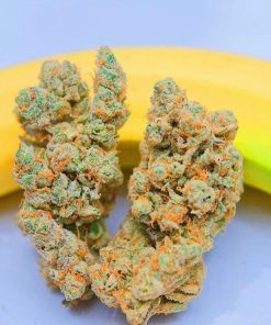 Alternative view of Chiquita banana strain