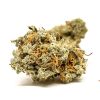 Blue Cheese Strain