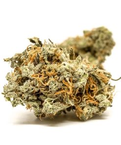 Blue Cheese Strain