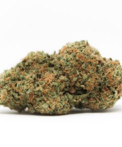 Buy Sweet Berlin Weed Online USA | Premium Sativa-Dominant Hybrid Cannabis Strain