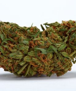 Buy Durban Poison Online USA | Premium Sativa Cannabis Flower