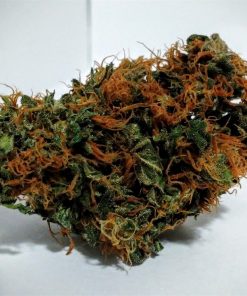 Alternative view of Buy Durban Poison Online USA | Premium Sativa Cannabis Flower
