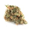Buy Girl Scout Cookies Weed Online USA | Premium Hybrid Cannabis Strain