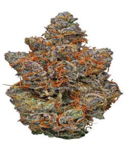 Alternative view of Buy Gorilla Glue Weed Online USA | Premium Hybrid Cannabis