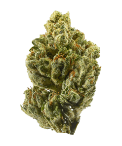 Buy OG Kush Weed Online USA | Premium Cannabis Strain