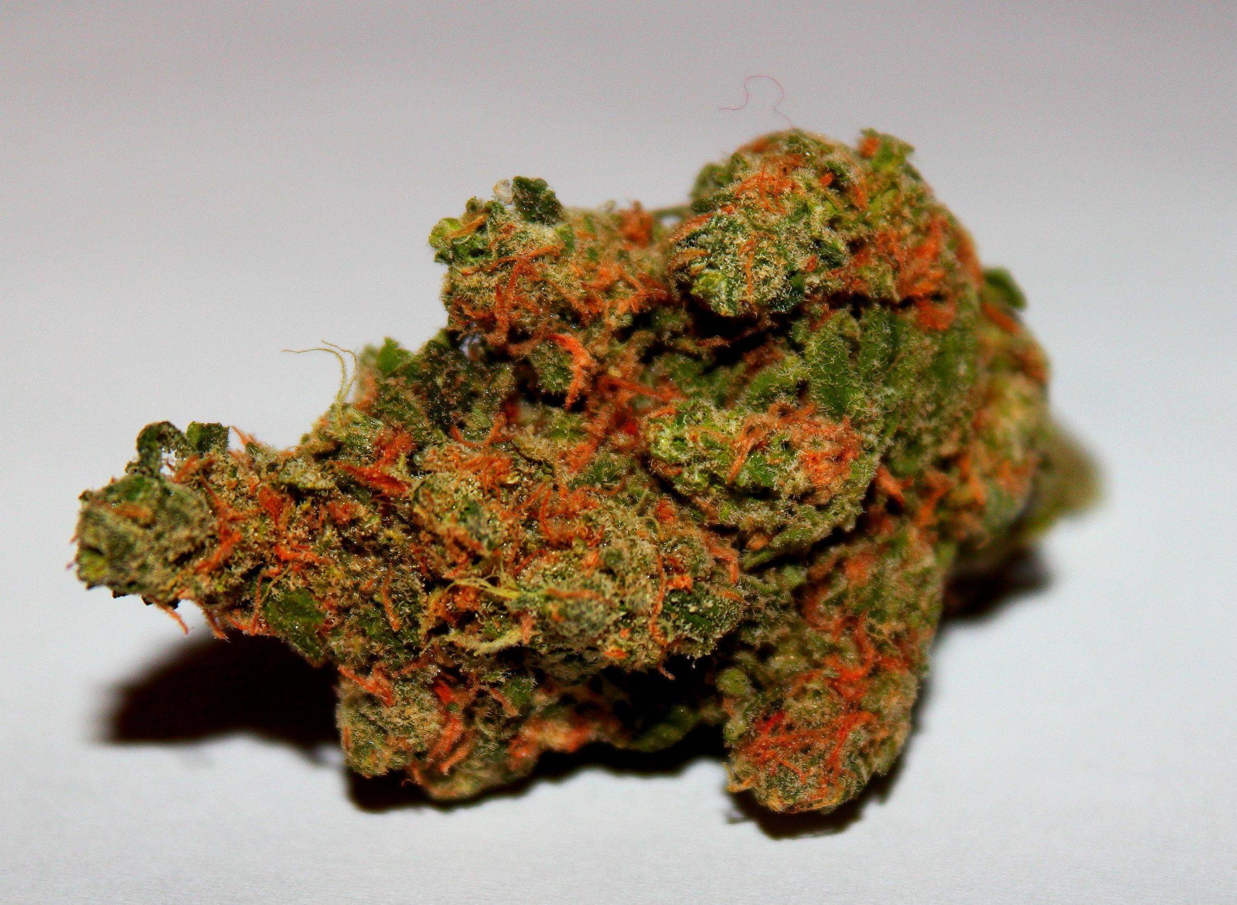Buy Jack Herer Strain Online USA | Premium Cannabis Flower - Image 2