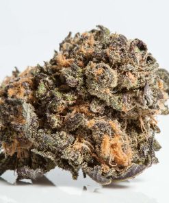 Granddaddy Purple Strain