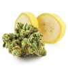 Fat Banana Weed Strain