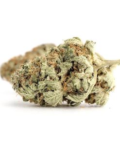 Buy Northern Lights Online USA | Premium Indica Cannabis