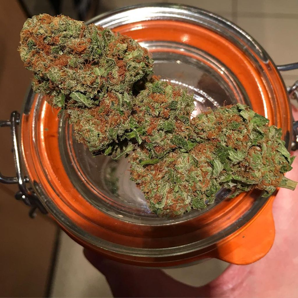 OG kush