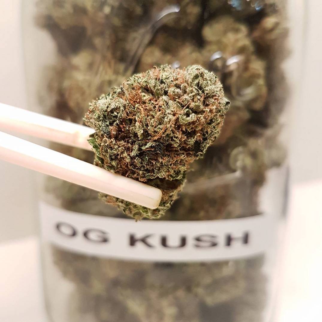 OG kush - Image 2