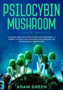 Psilocybin Mushroom