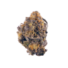 Buy Ice Cream Weed Strain Online