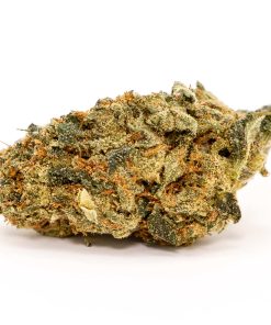 Buy Trainwreck Online USA | Premium Cannabis Flower