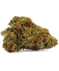 Kosher Kush Strain