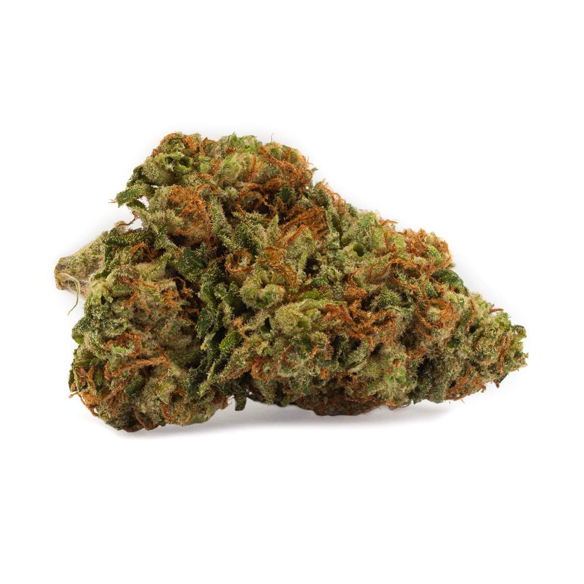 Kosher Kush Strain