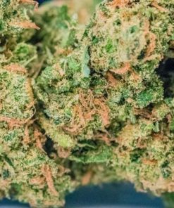 Alternative view of Buy Blue Dream Weed Online USA | Premium Hybrid Cannabis Strain