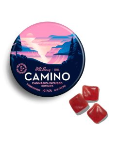 Chill Wild Berry Gummies 20ct