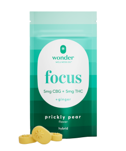 Focus 1:1 Prickly Pear Gummies 20ct