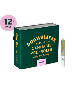 Gas Guzzler Pre-Roll 4.2g