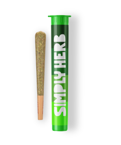 Georgia Pie Pre-Roll 1g