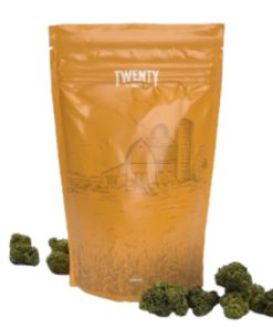 Goon Berries Popcorn Flower 28g