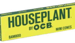 Houseplant by OCB - Bamboo Cones Mini 8ct