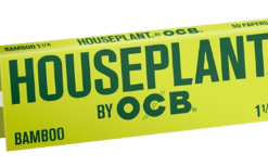 Houseplant by OCB - Bamboo Papers