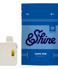 Mango Distillate Disposable Pen 2g