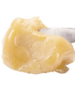 Mango Mintality Live Rosin 1g