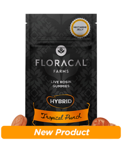 Nectarine Jelly Tropical Punch Live Rosin Gummies 10ct
