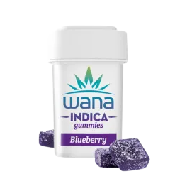 Organic Sour Blueberry Indica Gummies 10ct