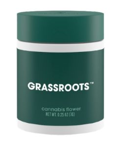 Tarts Popcorn Flower 7g