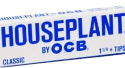 Houseplant by OCB - Classic Papers w/ tips