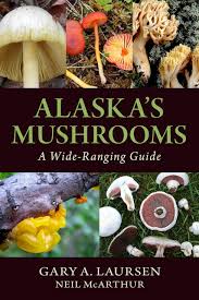 Rare  Mushroom Delivery Alaska